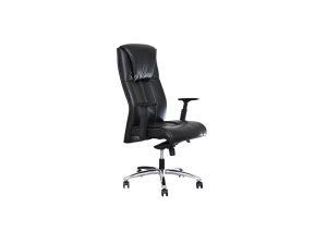 Director Chair Series