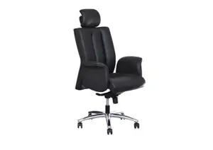 Modern office setup with office director chair